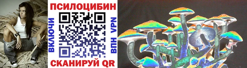 площадка официальный сайт  мега зеркало  Псилоцибиновые грибы Psilocybine cubensis  Новопавловск  где можно купить наркотик 